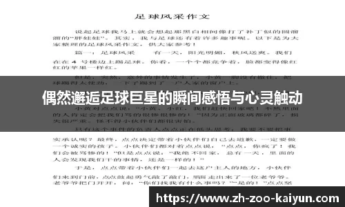 开云娱乐