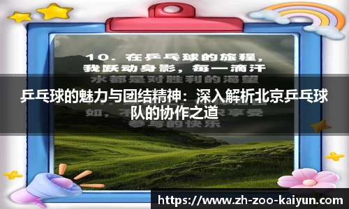乒乓球的魅力与团结精神：深入解析北京乒乓球队的协作之道